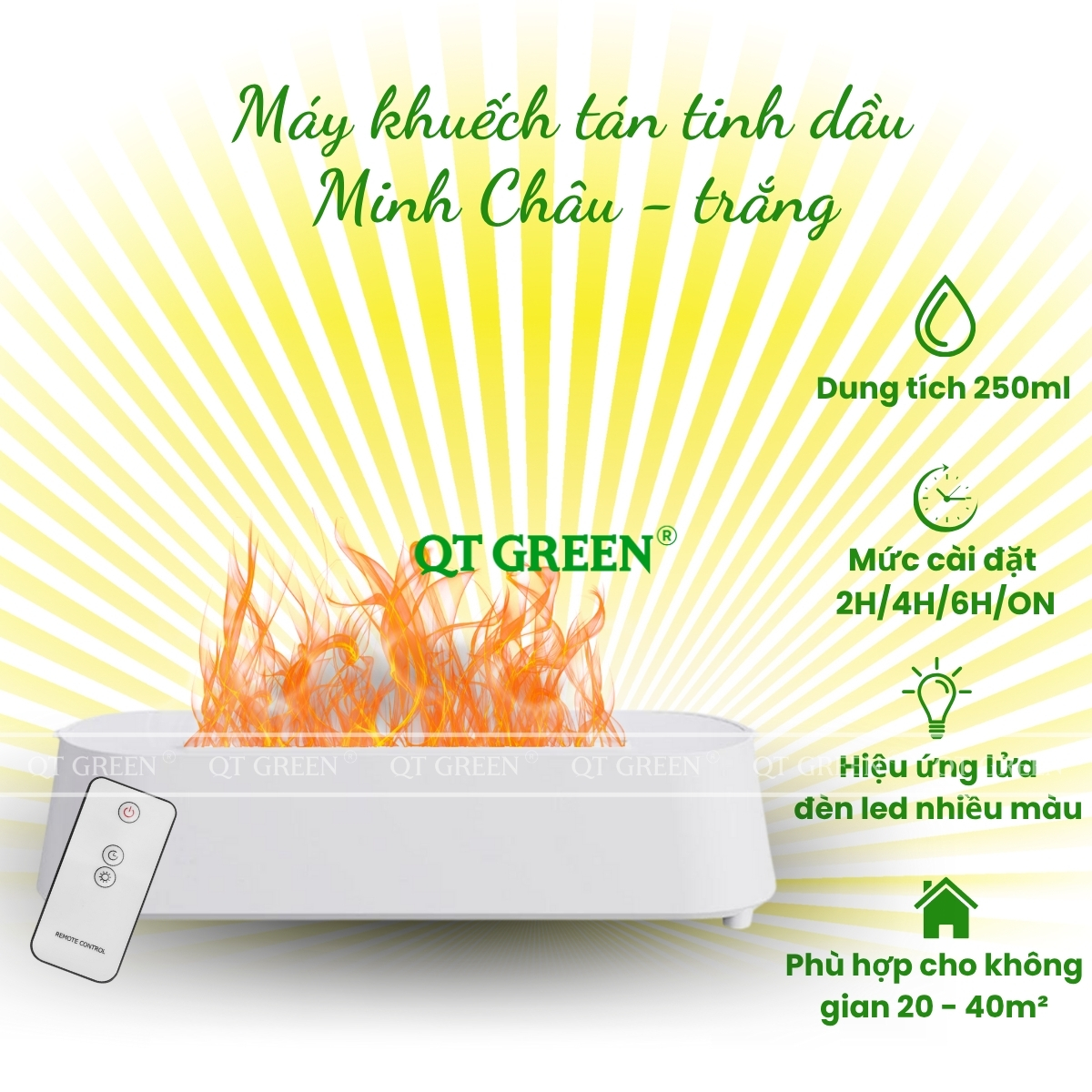 CÔNG TY TNHH QT GREEN
