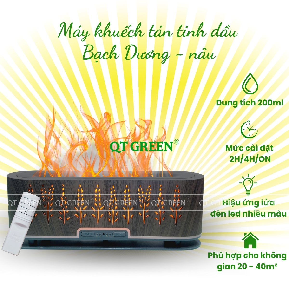 CÔNG TY TNHH QT GREEN