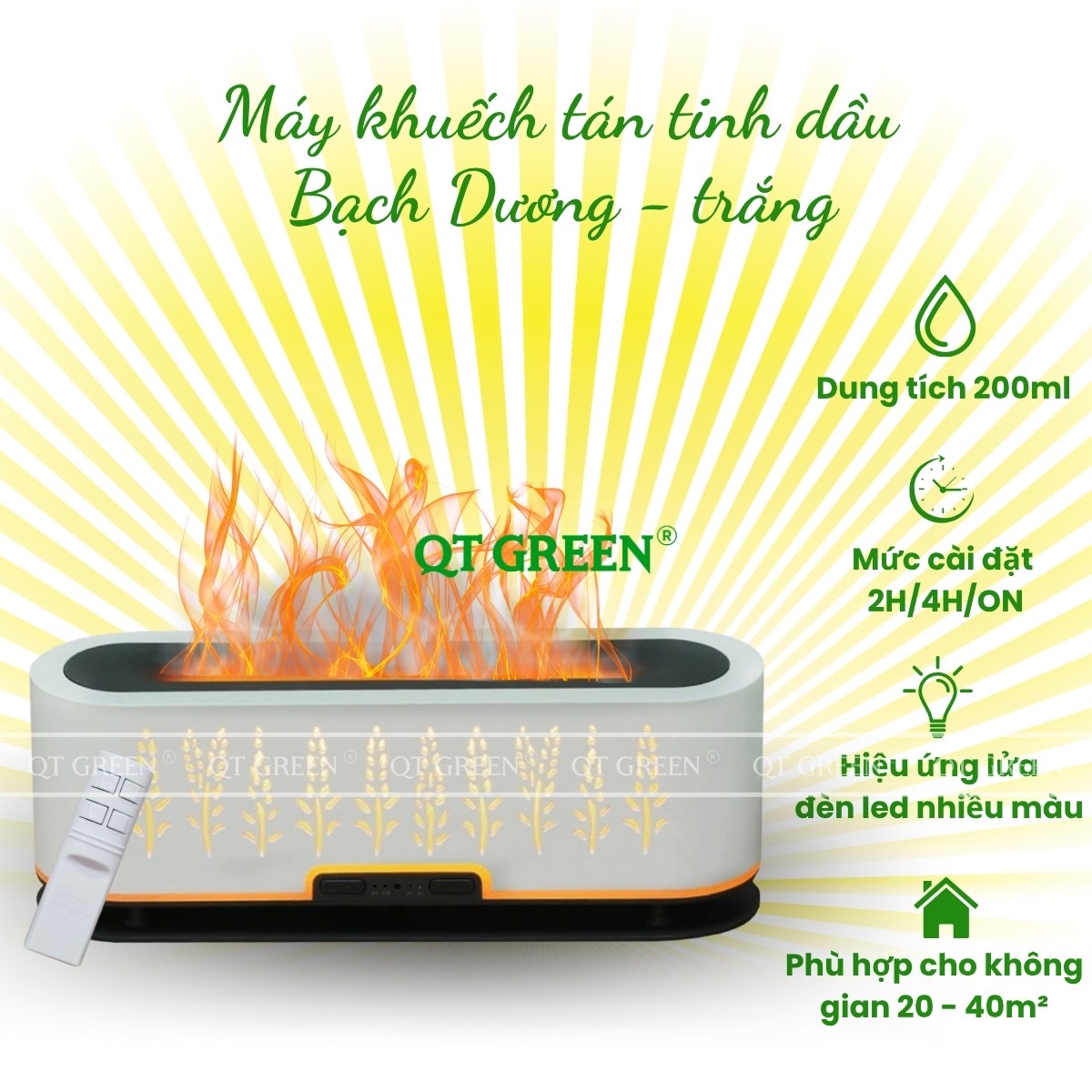 CÔNG TY TNHH QT GREEN