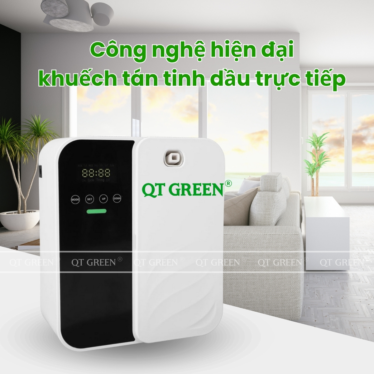 CÔNG TY TNHH QT GREEN