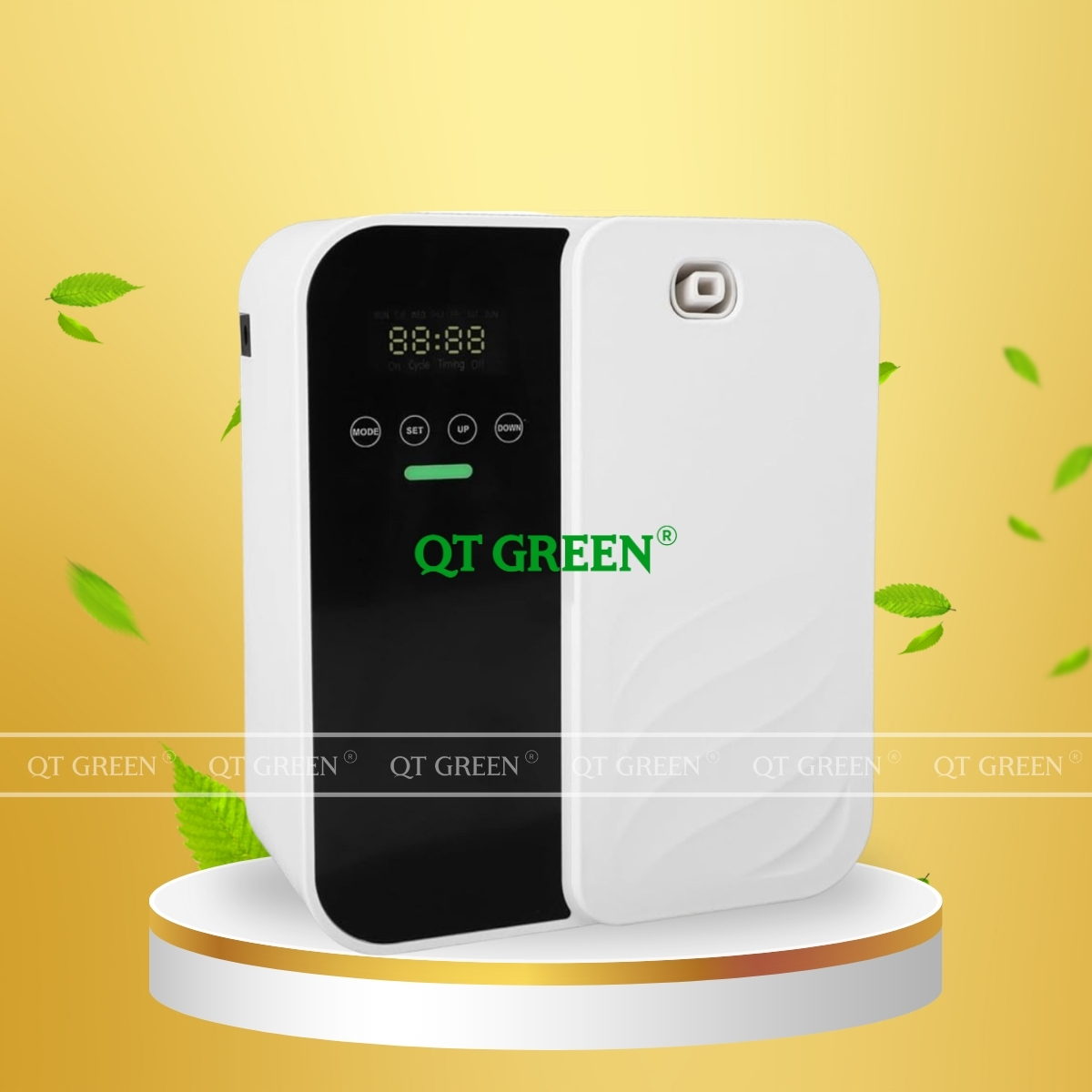 CÔNG TY TNHH QT GREEN