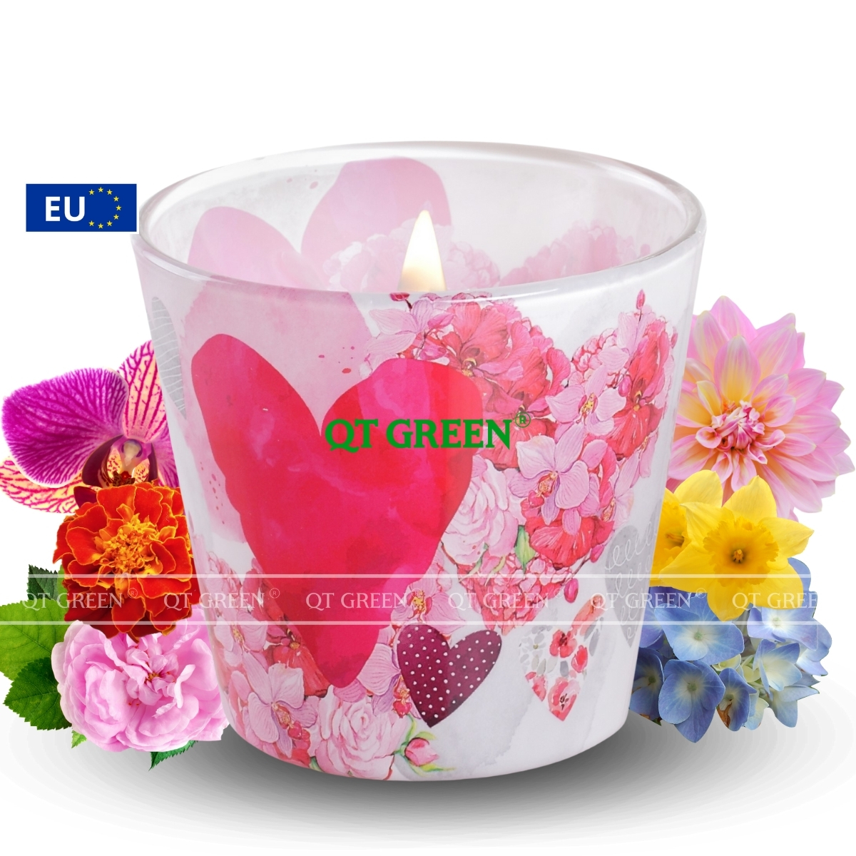 CÔNG TY TNHH QT GREEN