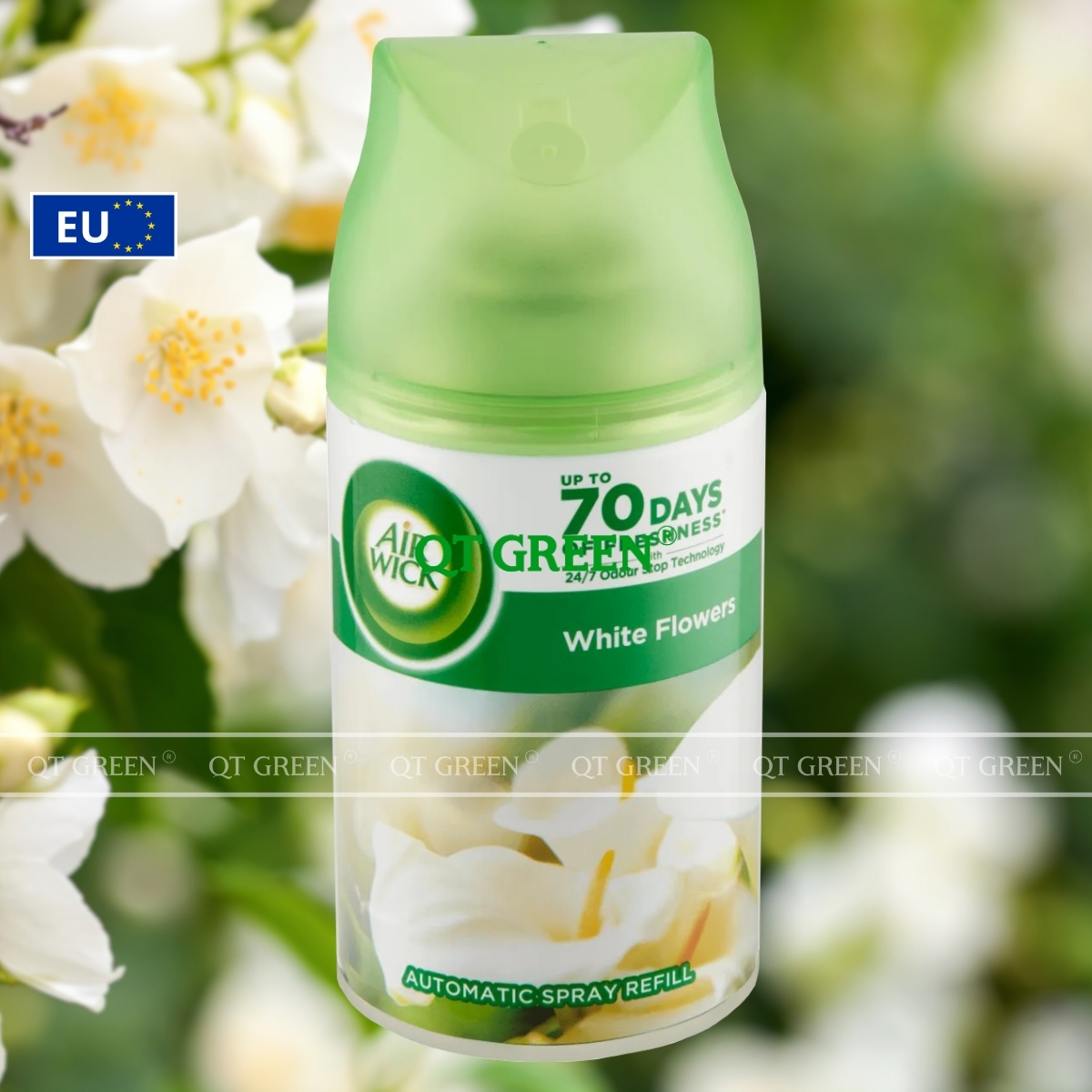 CÔNG TY TNHH QT GREEN